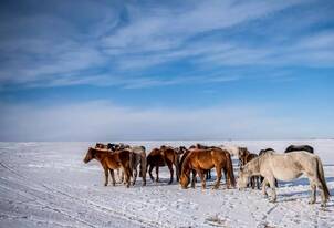 你应该在冬天去次内蒙古 感受最纯净的天路之旅