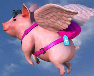 小而美创业须知：风口上的飞猪是少数