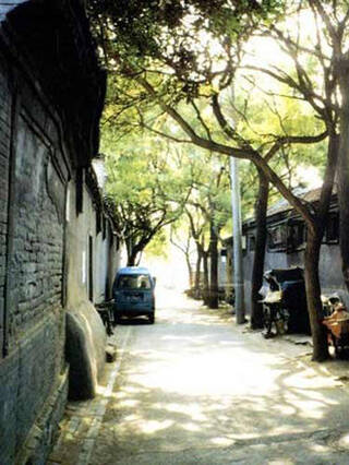 治愈系街头风景照大全 e5bc2f901114bc129d999155d3cdab4e.jpg