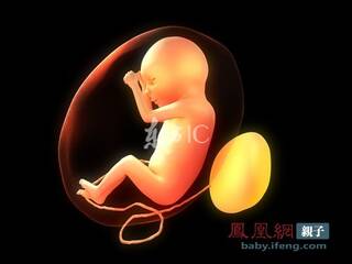 rdn_5042e3c6b8458.jpg