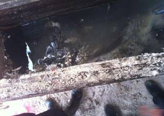 女性梦境探秘，黑棺材与下方之洞的深层寓意解析