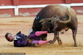 西班牙阿兰胡埃斯,斗牛士艾尔-朱利在一场斗牛表演中失误,遭愤怒公牛