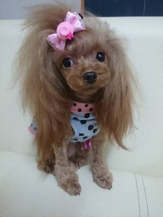 79bb74ae9a66470807a4_size33_w440_h586.jpg
