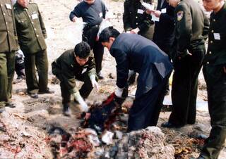 1999年温州空难:现场找不到一具完整尸体