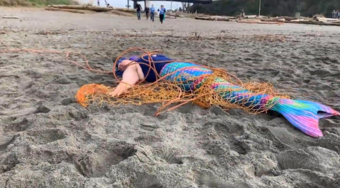 海滩惊现"美人鱼",身上缠着破碎的渔网,好心酸
