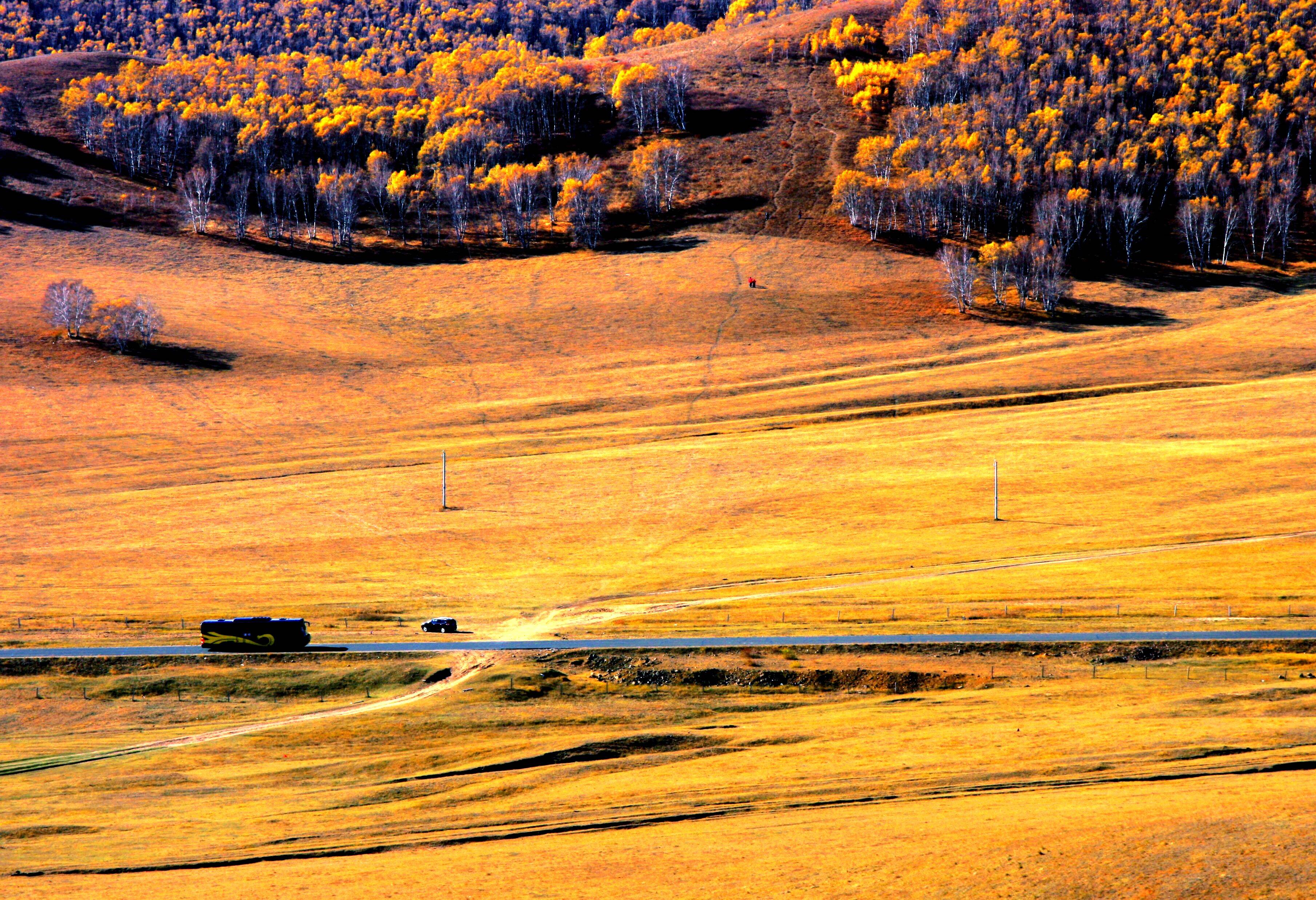 地理答啦:内蒙古乌兰布统大草原,秋天的景色天高地阔