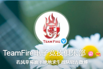 IPSL小组循环赛黑马战队TF 背后boss是若风?