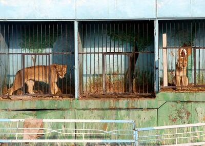 这可能是世界上最小最悲伤的动物园