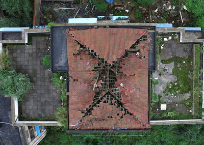 地震7年后，一切还给了大自然