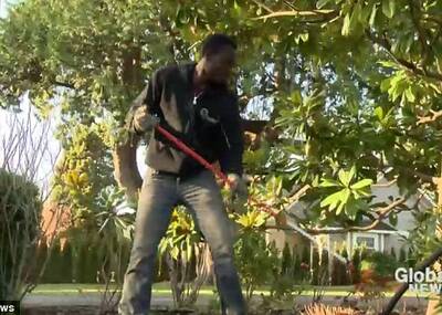 3年前，他为爱情当环卫工；3年后，为部落辞职当国王