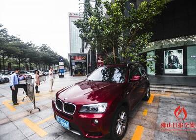 天降大树枝直插宝马