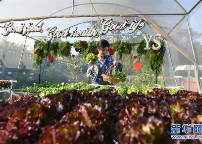 英拉在自家菜园见外媒记者