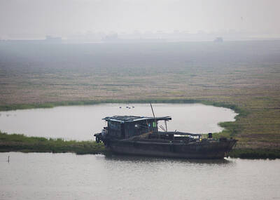 变成“草原”的鄱阳湖
