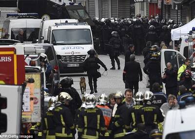 反恐行动中牺牲警犬最后的画面