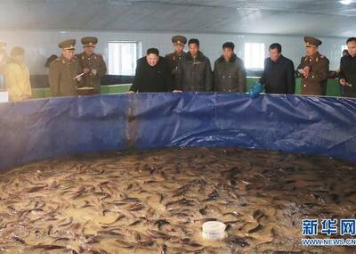 金正恩视察朝鲜三泉鲇鱼厂