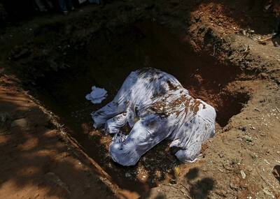 一头大象的葬礼