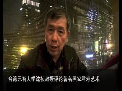 台湾元智大学沈祯教授评论著名画家君寿艺术