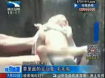 <em>裸体</em>相亲上美国荧幕 真人秀赤诚相见-免费在线