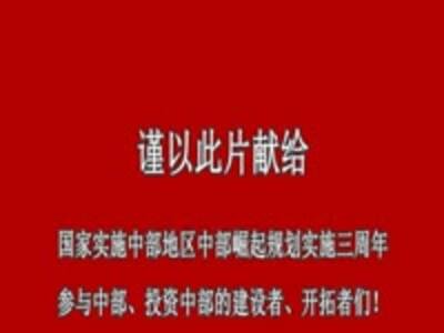 广西北部湾资本运作的正面报道-免费在线观看