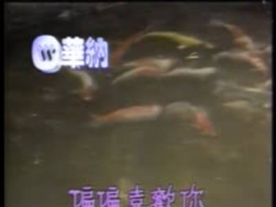 白举纲 & 左立 & 马雪阳 - 平凡之路 - 年代秀 现