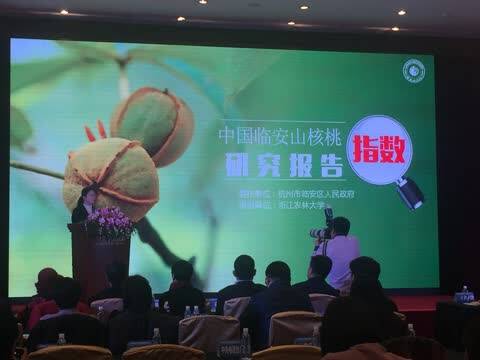 2017中国临安山核桃指数体系建设发布会