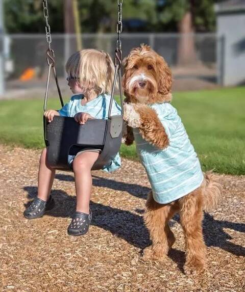 即使在最放松的时候,小保姆也不忘记照看小主人.