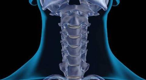 腰椎颈椎脊椎疼?6个小贴士帮您缓解