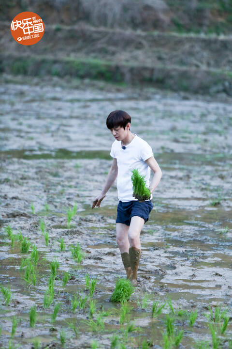 《向往的生活》张杰背何炅赠谢娜的妈咪包 与