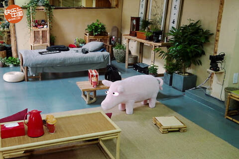 《向往的生活》王珞丹同款猪猪沙发走红网络 