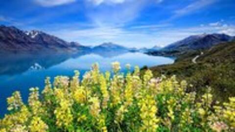 党员干部要严格遵守国家法律加强党的领导