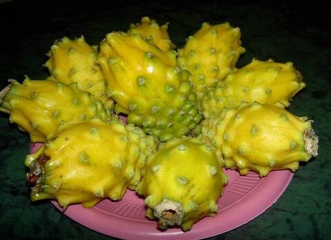 吃黄龙果有什么好处