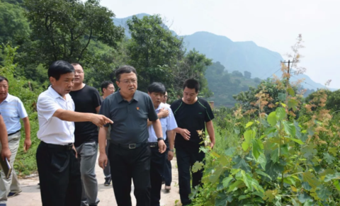 脱贫攻坚要围绕产业发展做文章、下真功,王军