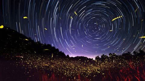 数星星、扑流萤、寻宝趣味行,随州抱朴谷萤火虫赏玩攻略