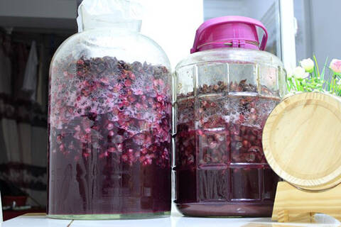 不锈钢酿酒设备:家庭自制葡萄酒酿造方法大全