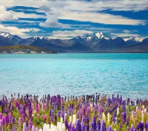 网赌时时彩90后说 人生,哪有回头路