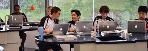 香港官立\/津贴,直资\/私立、国际小学区别汇总