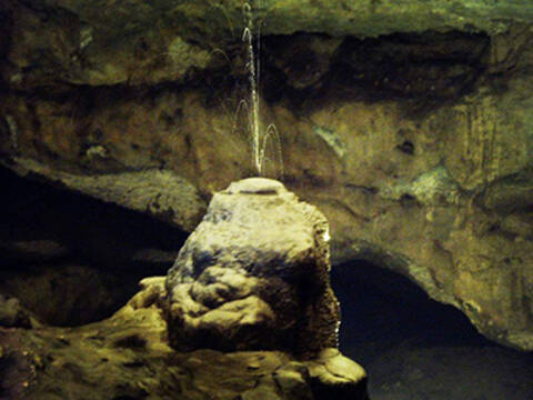 成人高考生可以填几个志愿