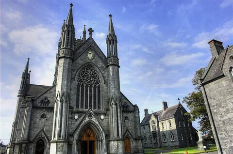 爱尔兰移民50万欧骗局