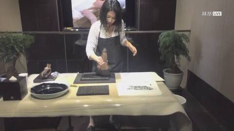 2013-12-28凤凰精选 日耳曼军师侍从记--民国中