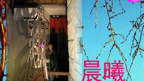 揭秘审讯椅、开花梨、犹太尖椅、棺材吊笼几种