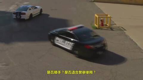 同样是酒后驾驶拒捕打交警 美国警察如何怼回