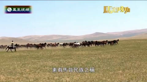 马道成功-凤凰卫视