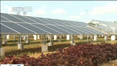 摩洛哥打造全球最大太阳能电站