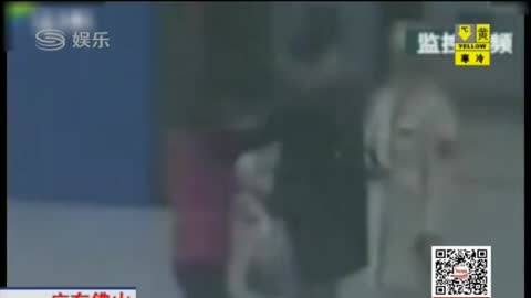 男子酒后驾车被查 竟将离婚证当成驾驶证