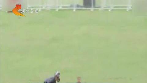 出国打工遇骗局 劳务派遣中介疑携款跑路