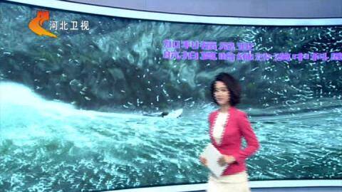 出国打工遇骗局 劳务派遣中介疑携款跑路