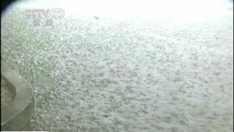 山东龙口:突降暴雨致城区拥堵