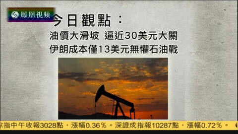 伊朗石油化工篮球_伊朗石油收入