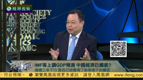 卢麒元:中国经济结束抛物线顶端滑行