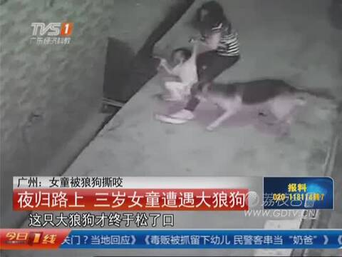  北京  航班延误 部分学校停课 